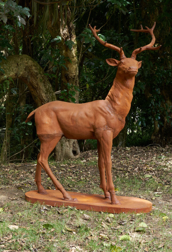 Deer