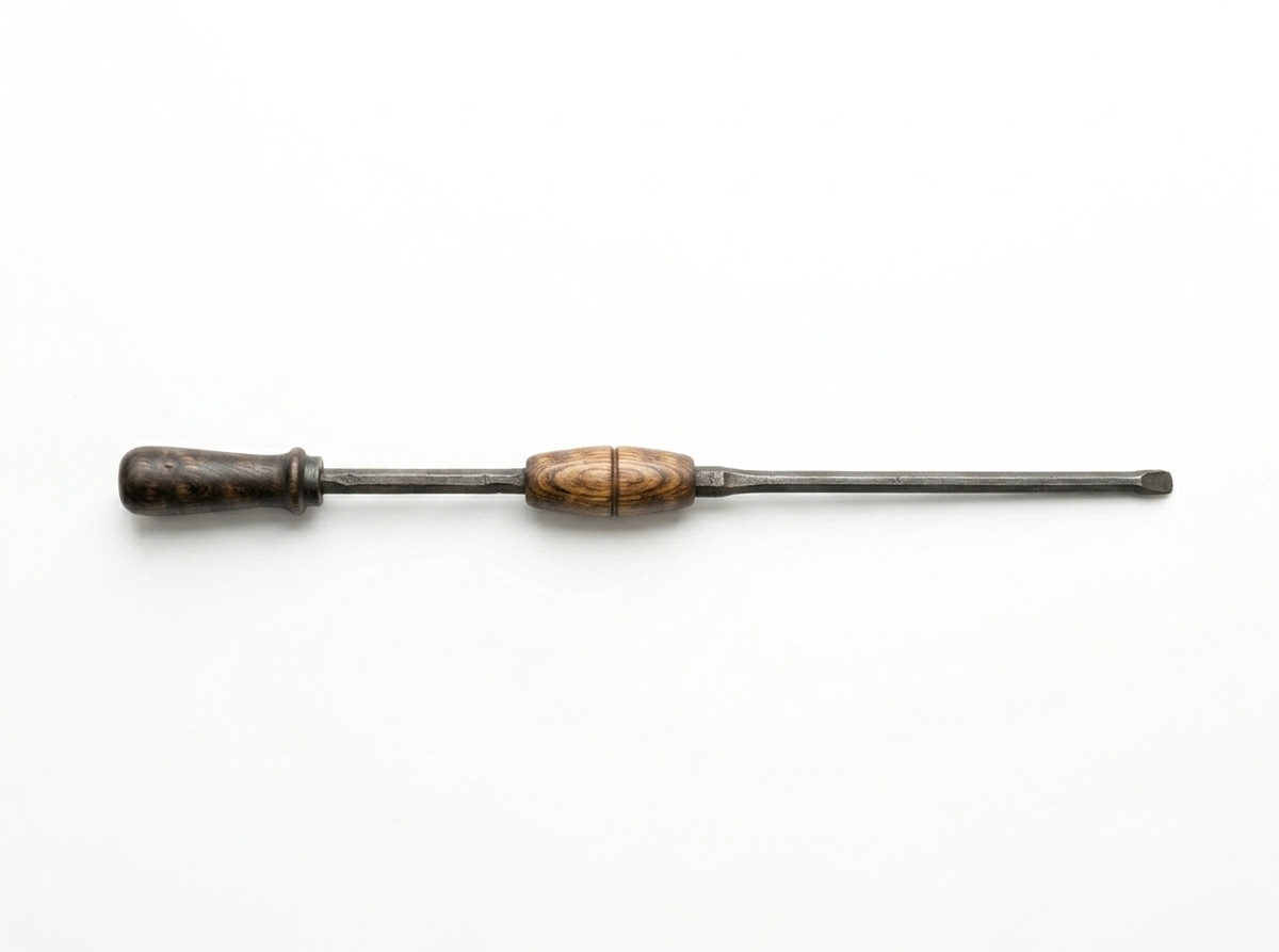 Sahar Fire Poker